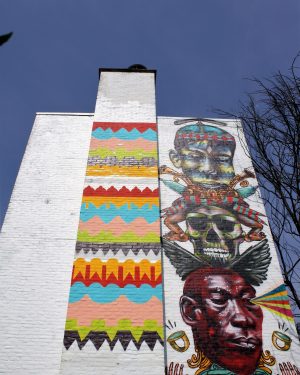 h6r1-s15 Pancratiusstraat - Betaplein - naamloze muurschildering - Troy Lovegates