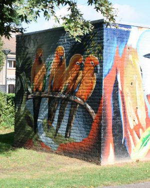 h6r2-n14 Colijnstraat - Muurschildering - James Jetlag