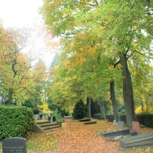 Akerstraat - Wandeling over het kerkhof (12)