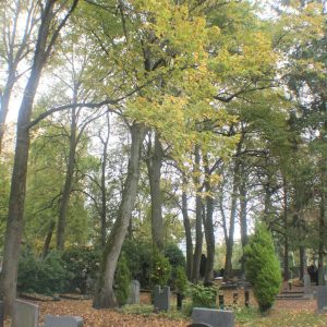Akerstraat - Wandeling over het kerkhof (16)