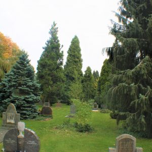 Akerstraat - Wandeling over het kerkhof (22)