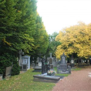 Akerstraat - Wandeling over het kerkhof (5)