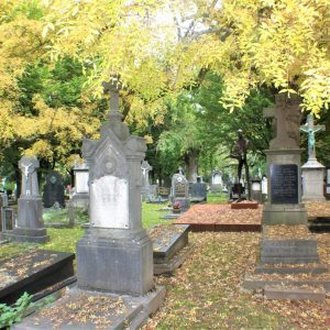Akerstraat - Wandeling over het kerkhof (6)